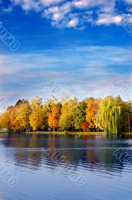 Autumn scene