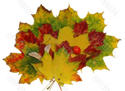 Autumn leaf