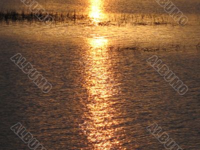 sunlight reflections