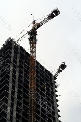 Construction of a tall modern office building