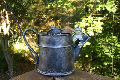 Galvanized Watering Pail