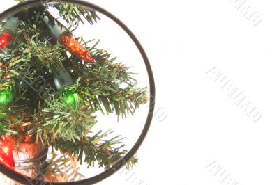 Christmas Tree Lights