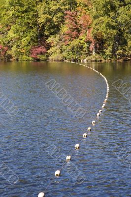 Lake Divider