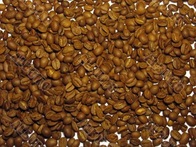 Background from coffee grains