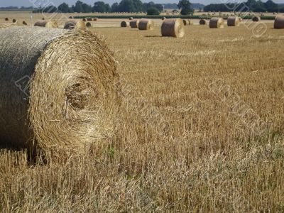 Straw