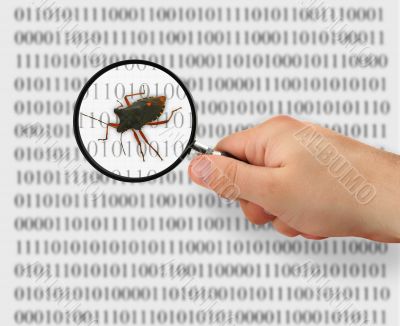 concept of searching for a bug