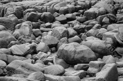 Gray Rocks