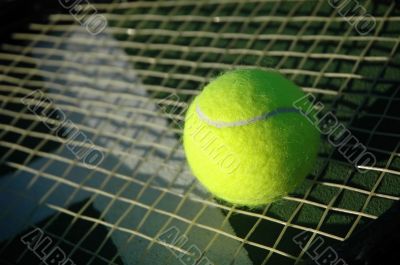 Tennis Ball on Racket