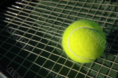 Tennis Ball on Racket