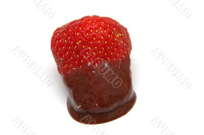 Strawberry in Chocolate