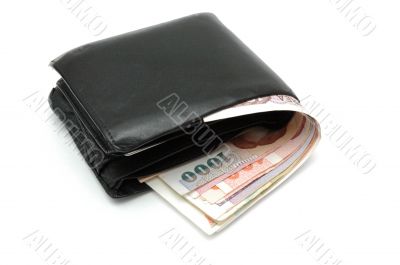 Dollars overflowing from wallet