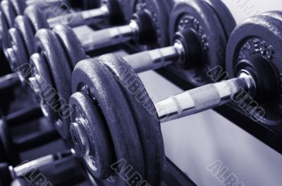 Gym Weights