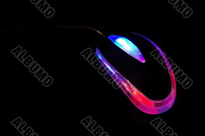 Mouse 5