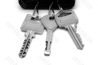 Bunch of Keys 1