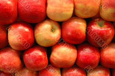 Fruits Series