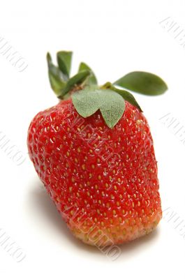 Single Strawberry