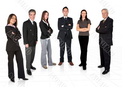 diverse business team
