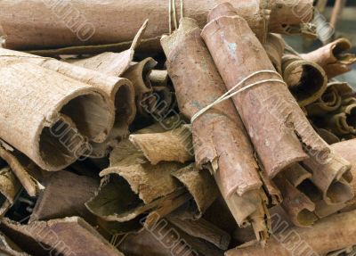 cinnamon