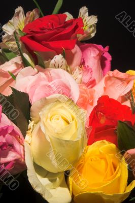 Assorted Roses