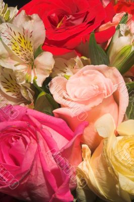 Assorted Roses