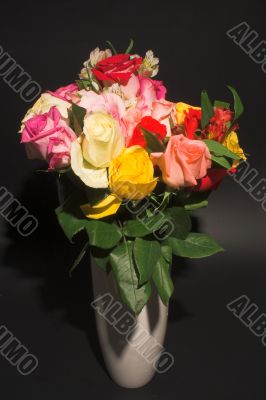 Assorted Roses