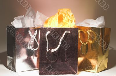Holiday Shopping Bags
