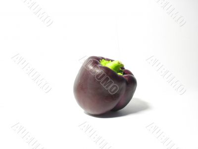 The Bulgarian pepper on a white background