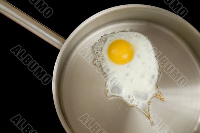 fried eggs