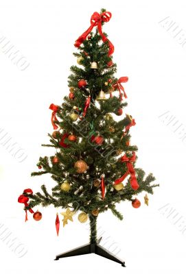 christmas tree on white