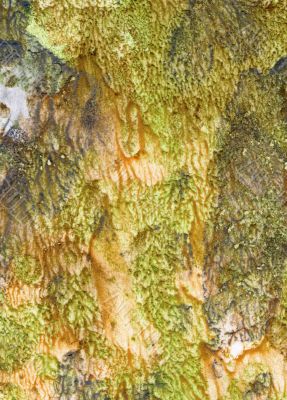 background, green-brown