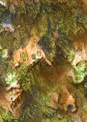 background, green-brown