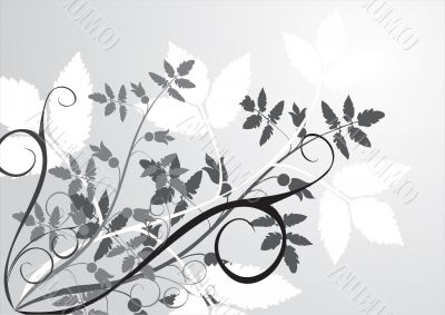 Floral background
