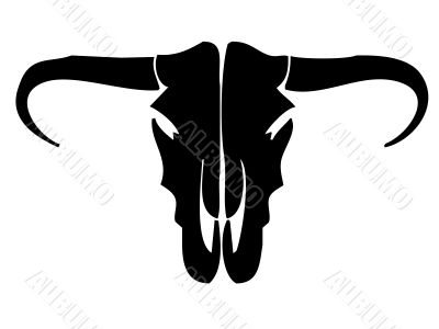 Cow skull