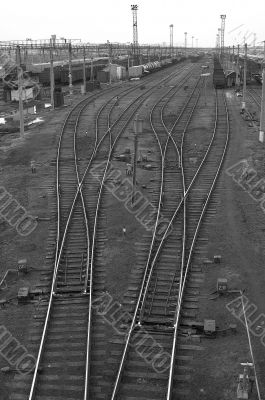 Railway Octopus. Black and white