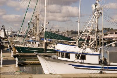 Fishing Boats at Marina
