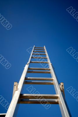 ladder