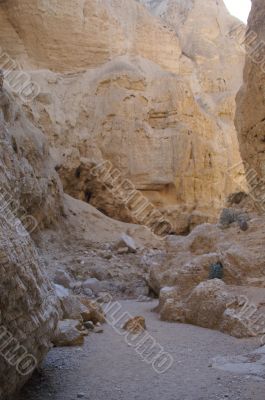 arava desert - dead landscape, background
