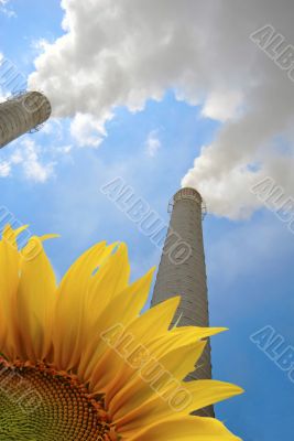 pollution