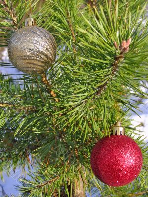 Christmas balls on the tree