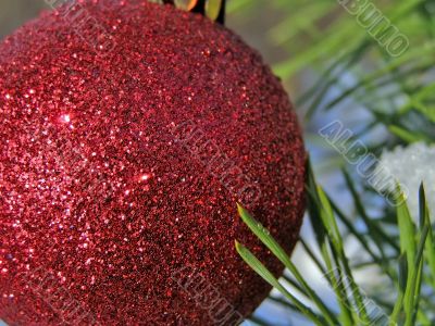 red Christmas ball