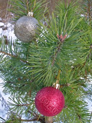 Christmas tree