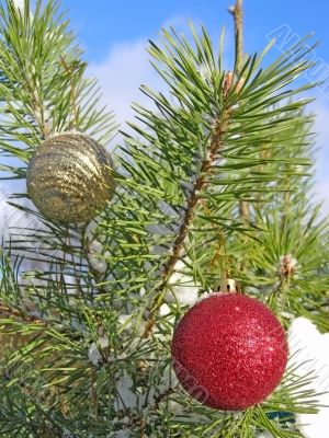 Christmas tree and sky