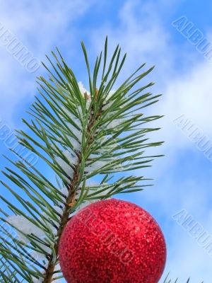 Christmas tree against blue sky