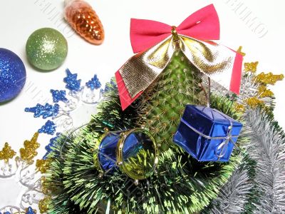 Christmas cactus