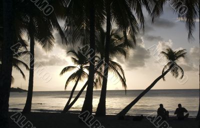 sunrise