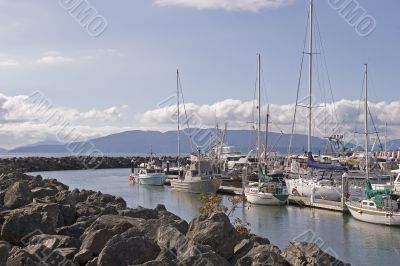 Yachts in Rocky Cove