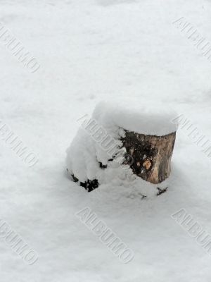 stump