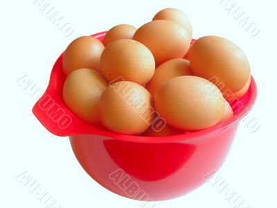 eggs in bowl