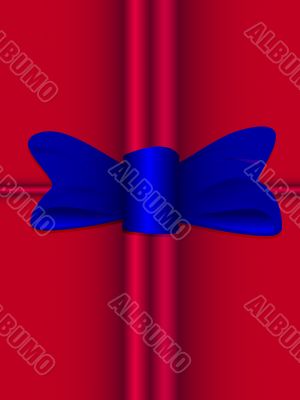 bow knot on the gift