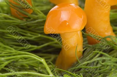 mushrooms